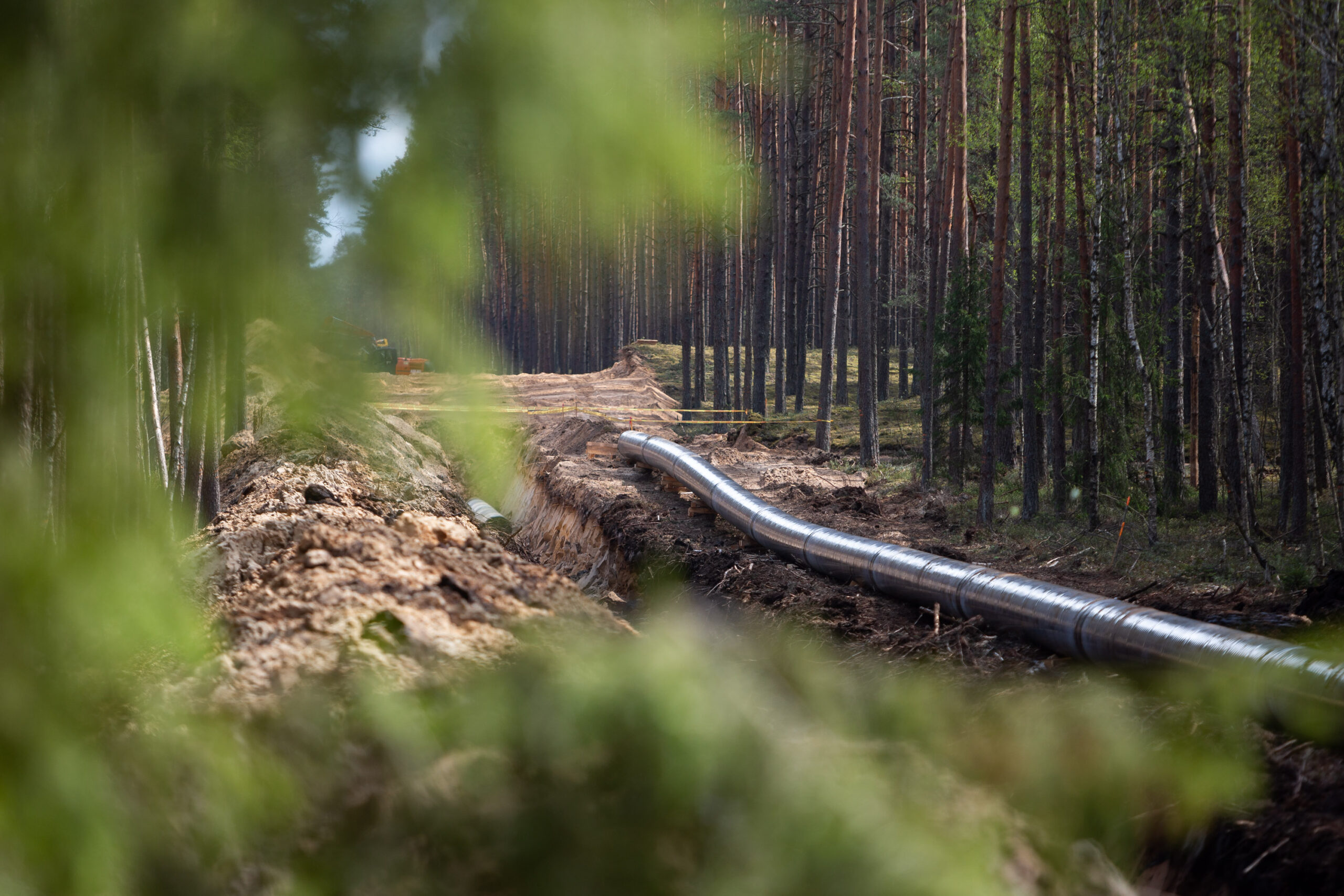 Dujų perdavimas